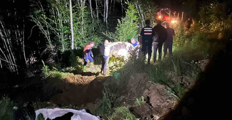 Bilecik'te çamura saplanan büyükbaş hayvanlar kurtarıldı
