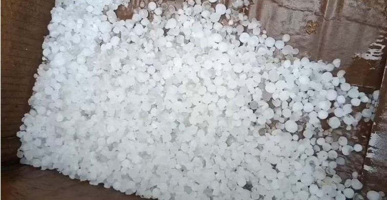 Bilecik’te Dolu Afeti Tarımı Vurdu