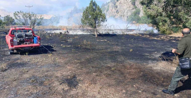 Bilecik'te elektrik direğinden çıkan yangın 3 dönümlük alanı kül etti