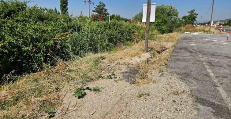 Bilecik’te jandarma ekipleri çevre düzenlemesi yaptı