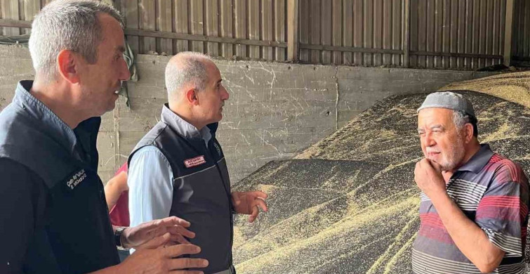 Bilecik'te kanola ve ayçiçeği alımları hız kazandı