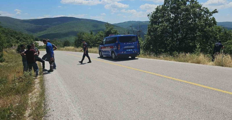 Bilecik'te kontrolden çıkan otomobil ormanlık alana devrildi: 1 yaralı