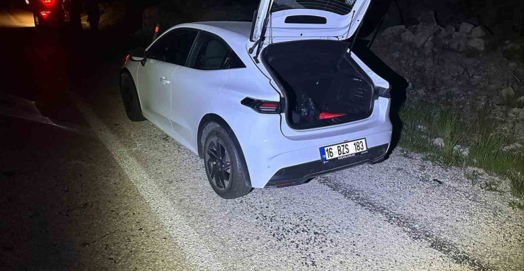 Bilecik'te Köpeğe Çarpan Araçta Maddi Hasar Oluştu