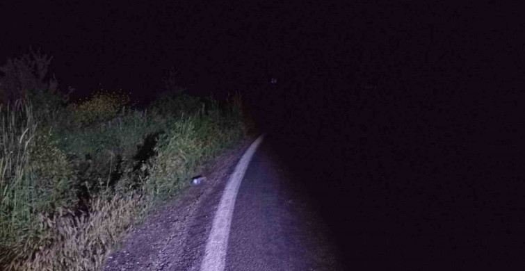 Bilecik'te Motosiklet Kazası: 1 Yaralı