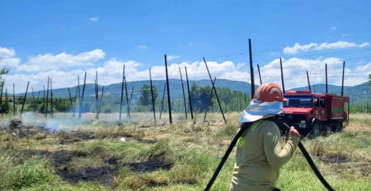 Bilecik’te tarlada yakılan ateş yangına sebep oldu