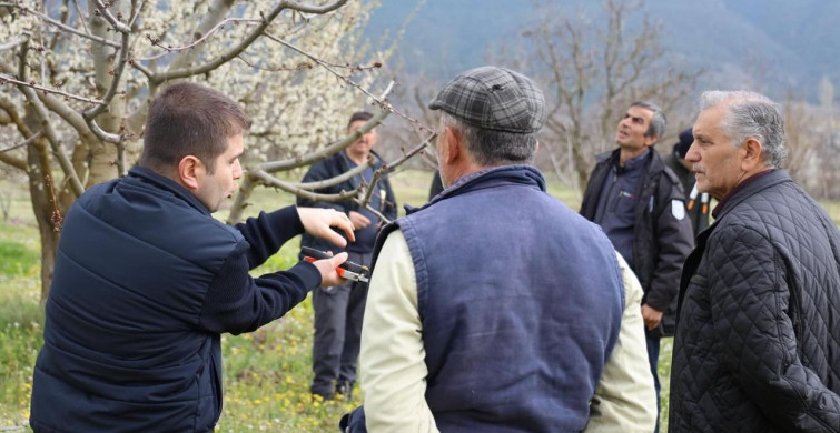 Bilecik'te Üreticilere Gübreleme ve Budama Eğitimi