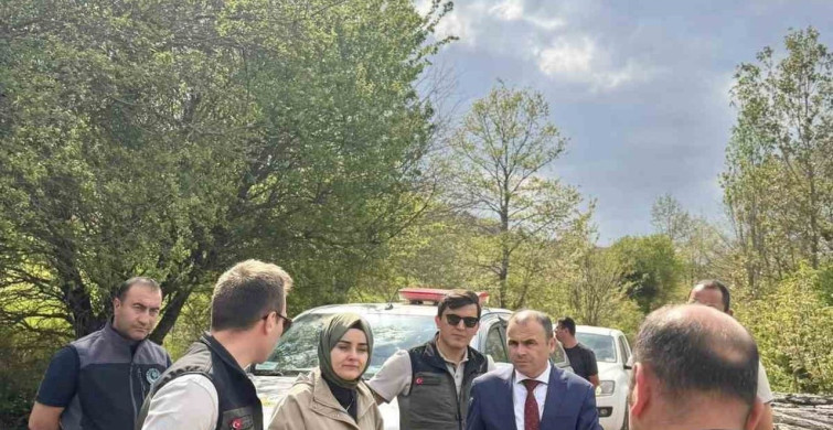 Bilecik'te Yangın Sonrası Ağaçlandırma Çalışmaları İncelendi