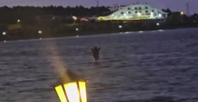 Bilecik'te zipline mahsur kalan vatandaşı deniz bisikletiyle kurtardılar