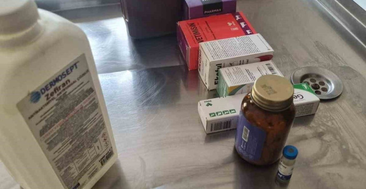 Bilecik'teki Barınakta Hayvanların Durumu İçler Acısı