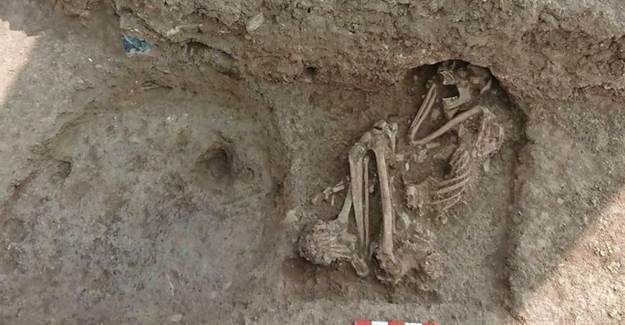 Bilecik'te Evin Bahçesinde 8 Bin 500 Yıllık İnsan İskeleti Bulundu