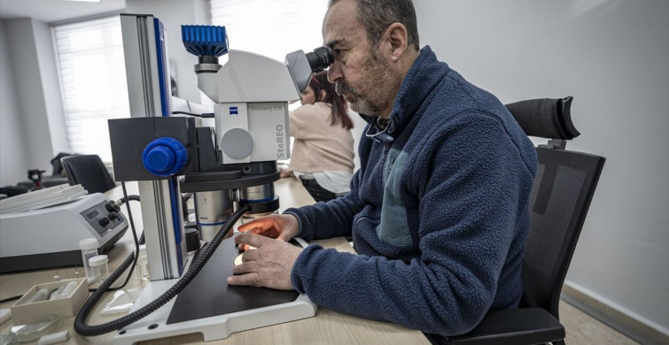 Bilim Dünyasına Yeni Türler: Gültekin Çifti'nin Keşfi