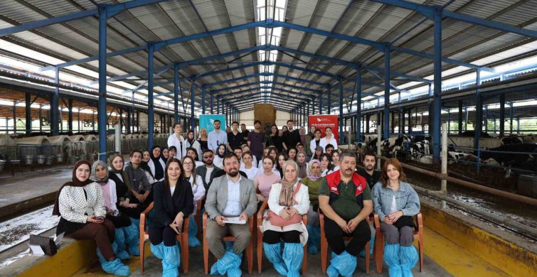 Bilim Toplumu Buluşturuyor: Hayvancılık ve Buzağılar