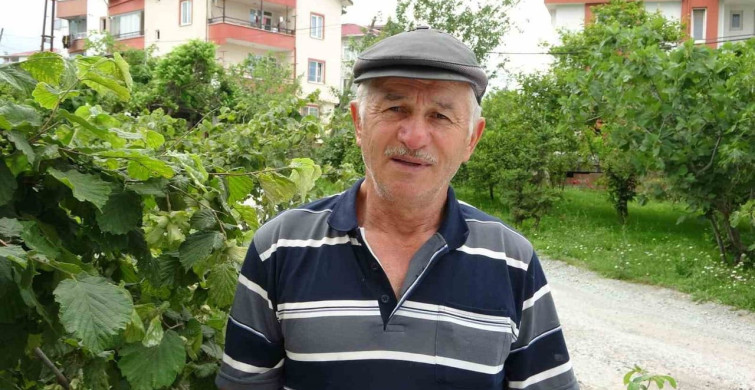Bin 200 yataklı Ordu şehir hastanesi açılış için gün sayıyor