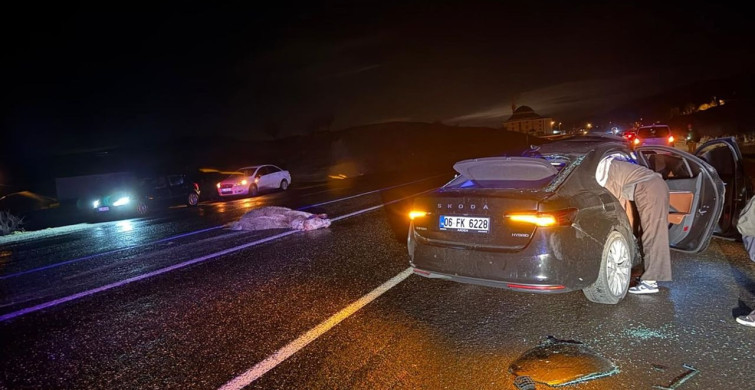 Bingöl'de Ata Çarpan Otomobil Kazasında 4 Yaralı