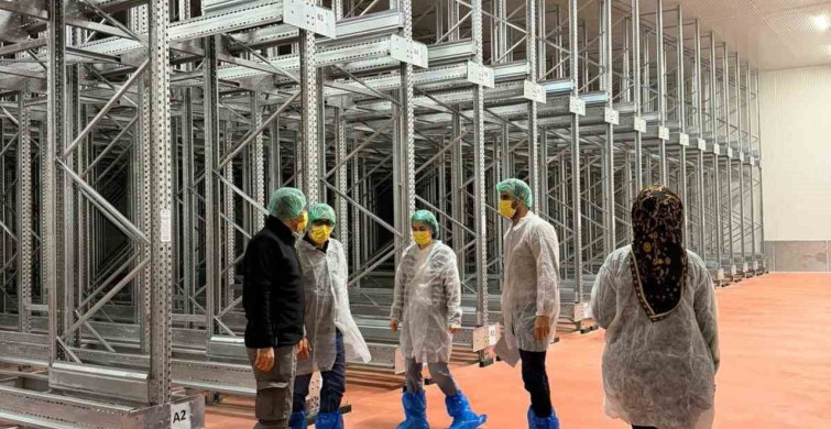 Bingöl'de Balık İşleme Tesislerine Denetim Uygulandı