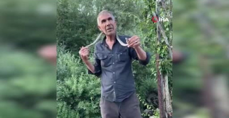 Bingöl'de bir adam zehirli engerek yılanını yakaladı