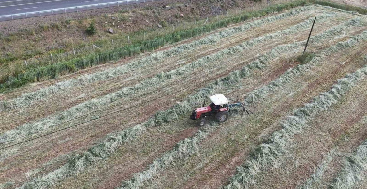 Bingöl'de çiftçiler ikinci mahsul için tarlada hazırlıklara başladı