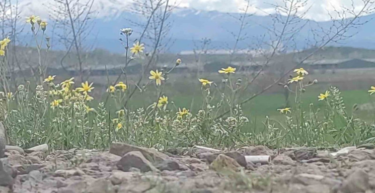 Bingöl'de İki Mevsim Bir Arada