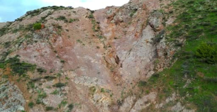 Bingöl'de Kartalın Anne Ayıya Saldırı Girişimi