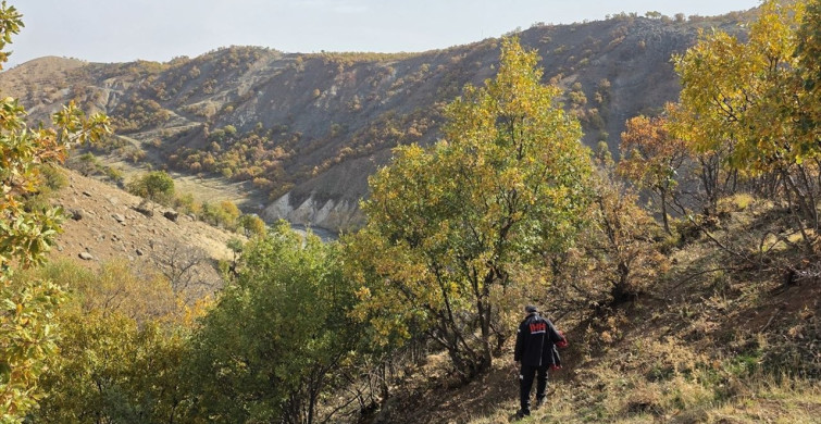 Bingöl'de Kaybolan 79 Yaşındaki Alzheimer Hastası İçin Arama Çalışmaları Devam Ediyor