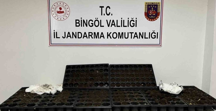 Bingöl'de kesinleşmiş hapis cezası bulunan 4 zanlı tutuklandı