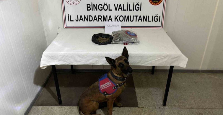 Bingöl’de kesinleşmiş hapis cezası olan 4 zanlı tutuklandı