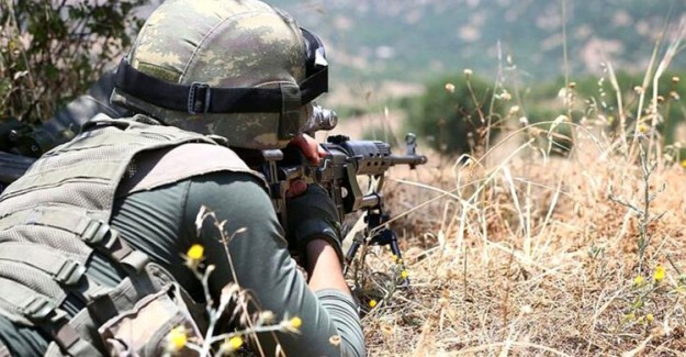 Bingöl'de Öldürülen 4 Teröristten 2'sinin Terörden Arananlar Listesinde Olduğu Belirtildi