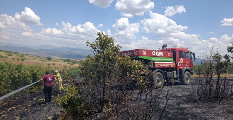Bingöl’de orman yangını büyümeden kontrol altına alındı