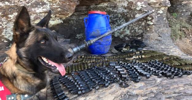 Bingöl'de Patlayıcı, Silah ile Mühimmat Ele Geçirildi