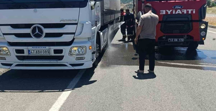 Bingöl'de seyir halindeki tırın lastikleri alev aldı