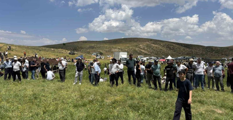 Bingöl'deki Çotla Festivali renkli görüntülere sahne oldu