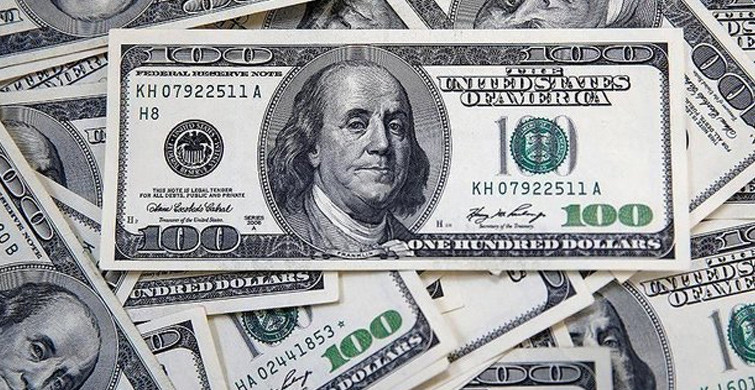Bir Günde 6.1 Milyar Dolar TL'ye Dönüştürüldü