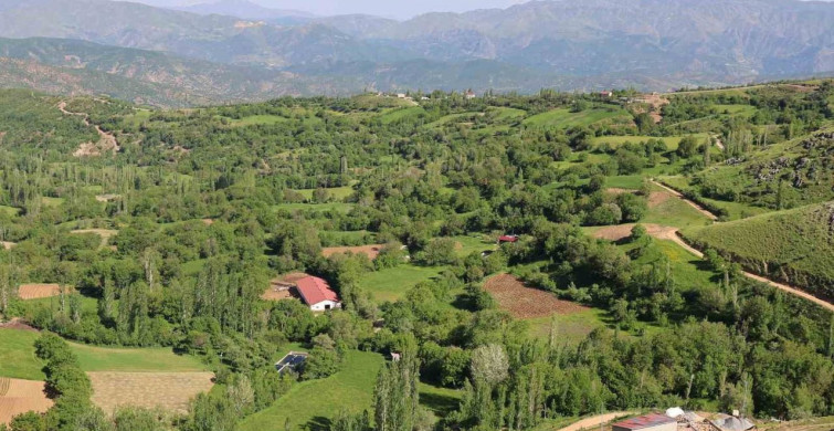 Bitlis Hizan yaban hayatıyla öne çıkıyor