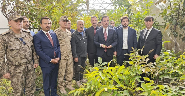 Bitlis Valisi Ahmet Karakaya Ceviz Hasadına Katıldı