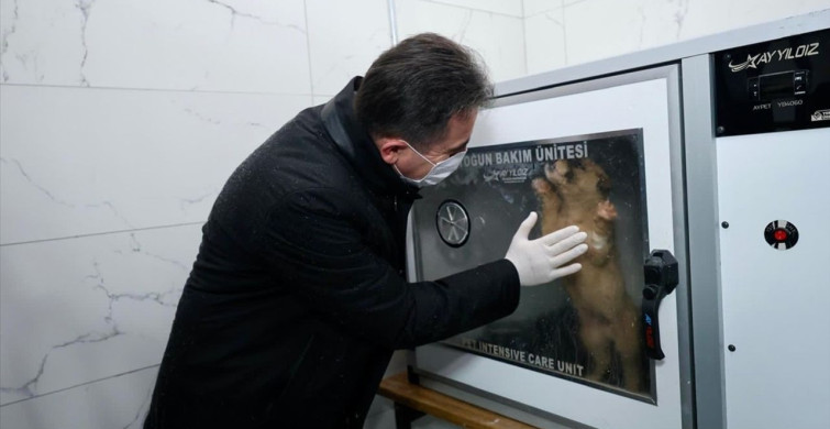 Bitlis Valisi Karakaya'nın Sokak Hayvanları Bakımevi Ziyareti