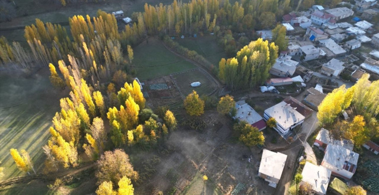 Bitlis'in Sonbahar Güzellikleri: Renk Cümbüşü Başlıyor