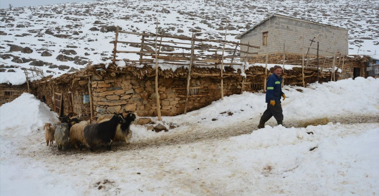 Bitlis'te Besicilerin Kış Mesaisi Zorluklarla Dolu