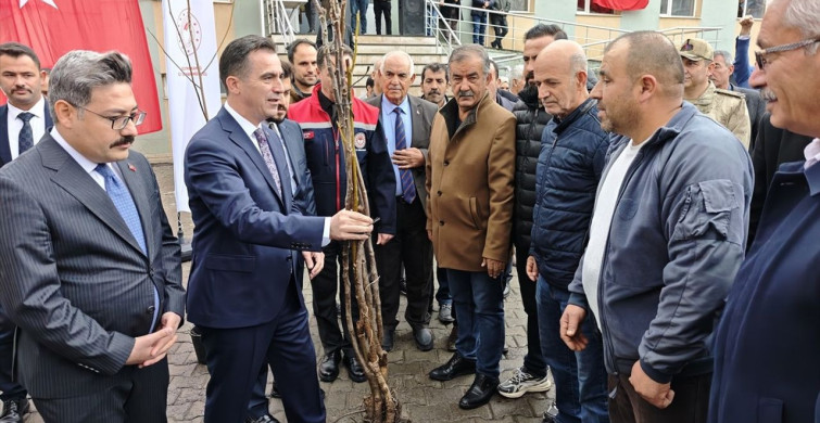 Bitlis'te Çiftçilere Sertifikalı Ceviz Fidanı Dağıtımı