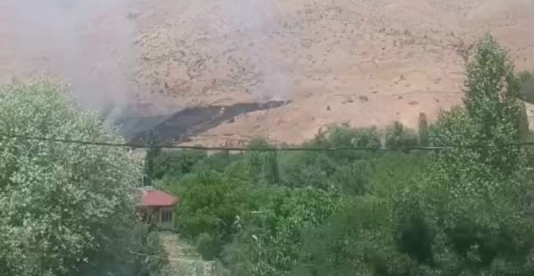 Bitlis'te dağlık alanda çıkan yangında binlerce arı telef oldu