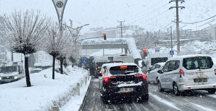 Bitlis'te Kar Yağışı Etkili Oldu