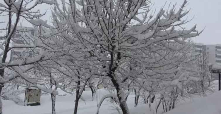 Bitlis’te Kar Yağışı Sayesinde 111 Köy Yolu Ulaşıma Kapandı