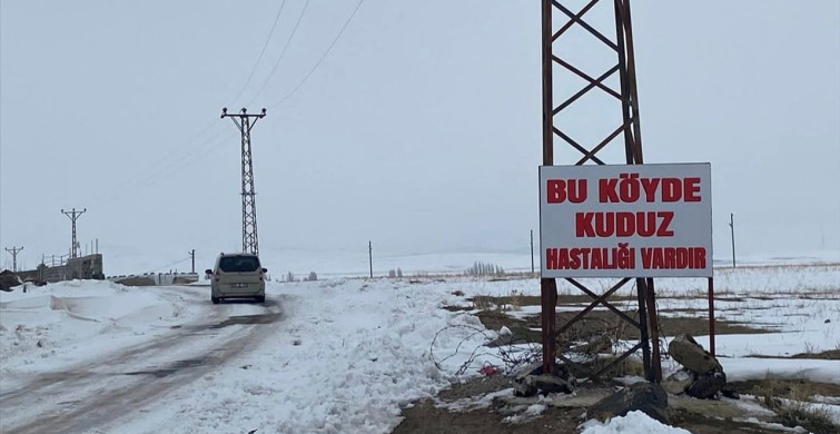 Bitlis'te Kuduz Nedeniyle Karantina Uygulaması