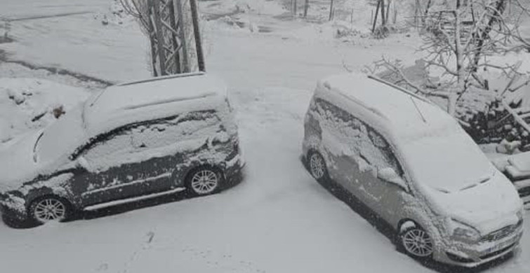 Bitlis'te Nisan Ayında Kara Kış