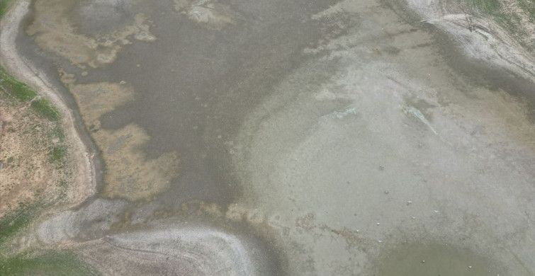 Bıyıkali Göleti'nde Su Seviyesi Kritik Düzeye Düştü