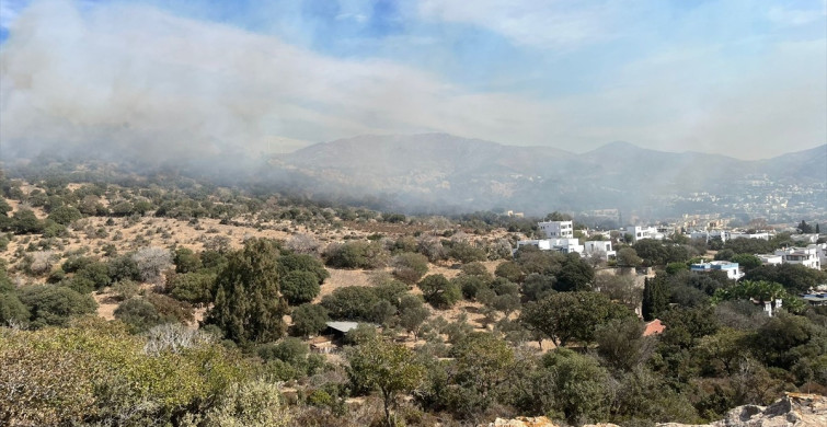 Bodrum'da 5 Hektar Makilik Alan Zarar Gördü