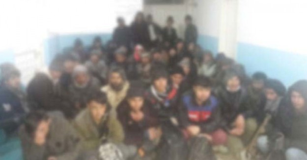 Bodrum’da 60 Kaçak Göçmen Yakalandı