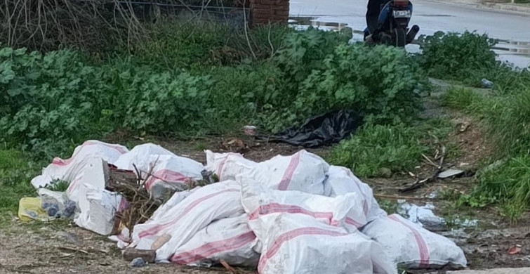 Bodrum'da Atık Dökme Cezası: 50 Bin Lira