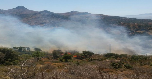 Bodrum'da Çıkan Yangın Yerleşim Bölgelerine Yaklaştı