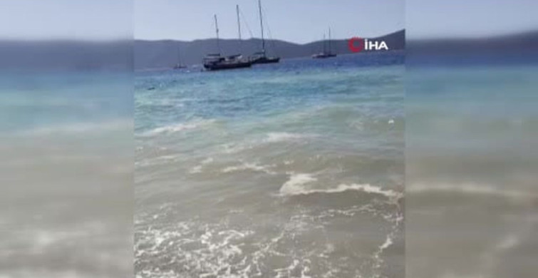 Bodrum'da deniz kirliliği: Başsavcılık soruşturma başlattı