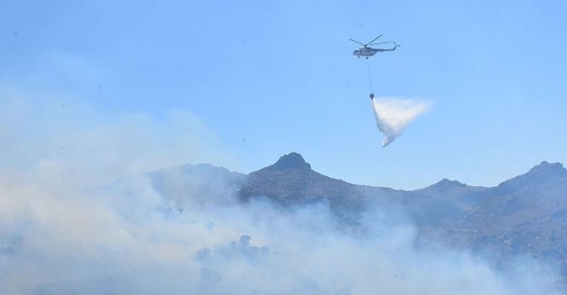 Bodrum'da Korkutan Orman Yangını